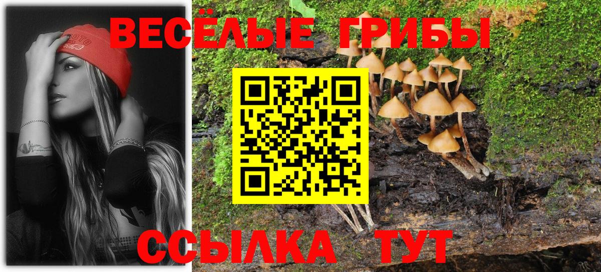 Галлюциногенные грибы ЛСД Новоалтайск